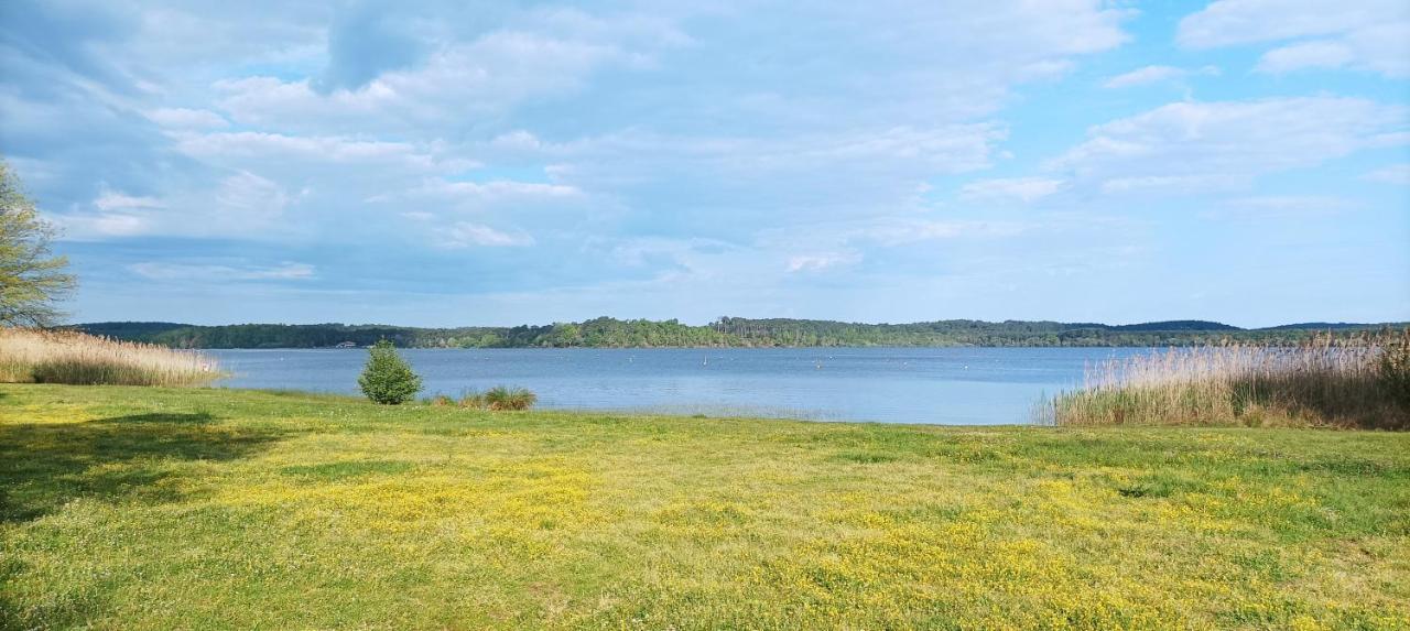 Les Terrasses Du Lac Piscine Et Vue Lac A4 Aureilhan  Eksteriør billede